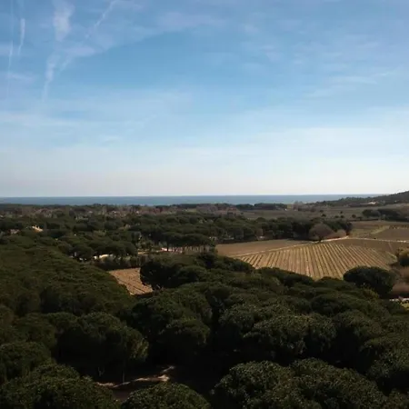 In Gassin Near Tropez Beaches * Saint-Tropez