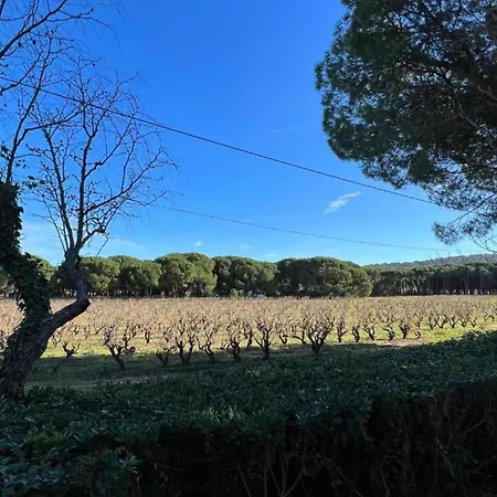 In Gassin Near Tropez Beaches Saint-Tropez