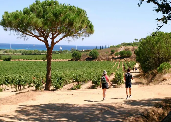 In Gassin Near Tropez Beaches *