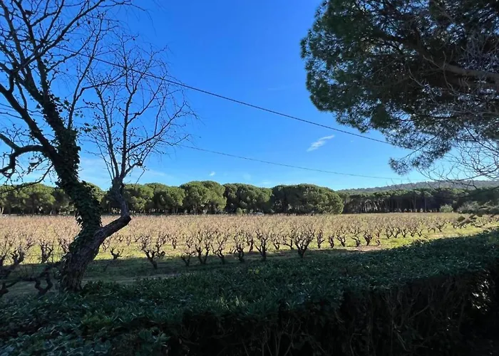 In Gassin Near Tropez Beaches Saint-Tropez